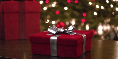 The primary subject of the image is a red box with a bow on top. The setting is a Christmas tree, and the visual style is a photo. The colors and mood of the image are festive and joyful, as it captures the holiday spirit.